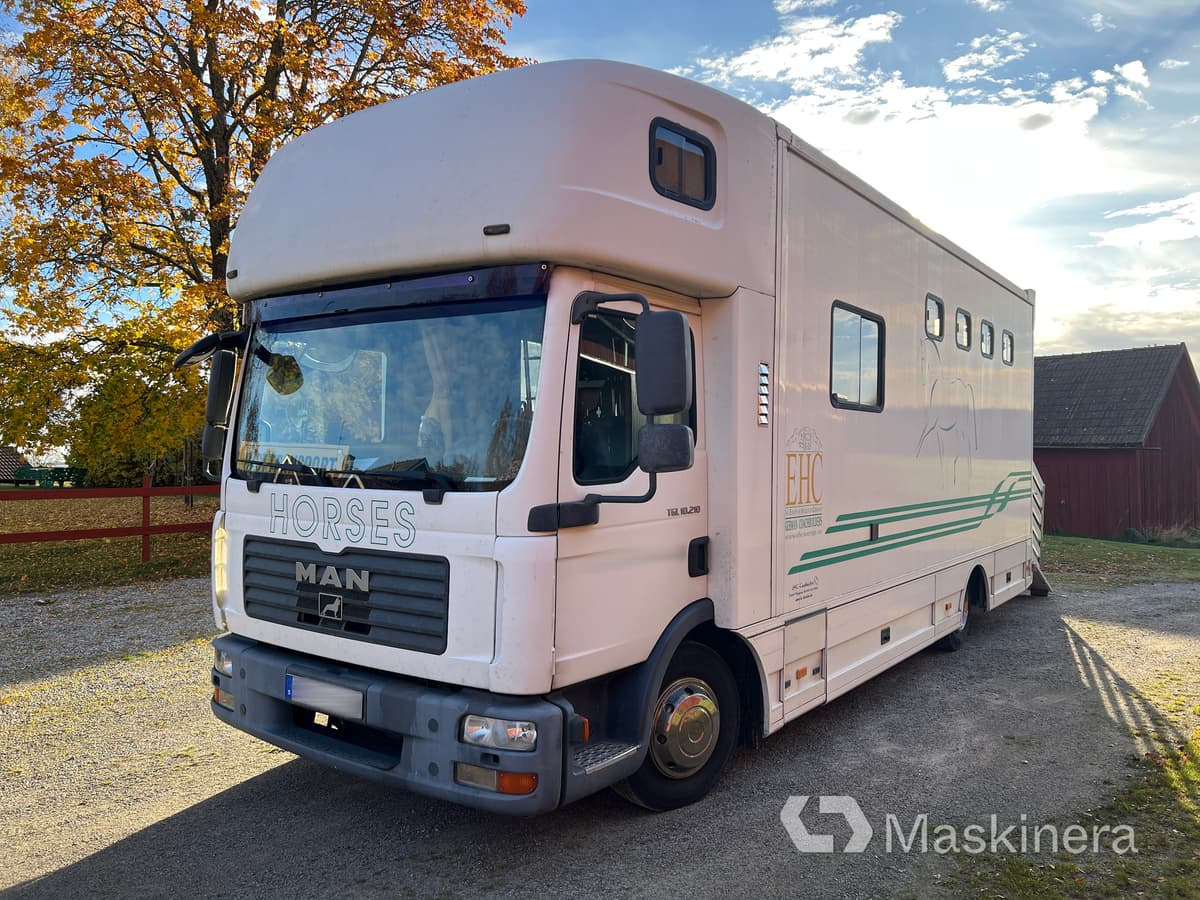 Hästlastbil MAN TGL 10.210 4X2 BL - Camião de transporte de cavalos: foto 1 Hästlastbil MAN TGL 10.210 4X2 BL - Camião de transporte de cavalos: foto 1
