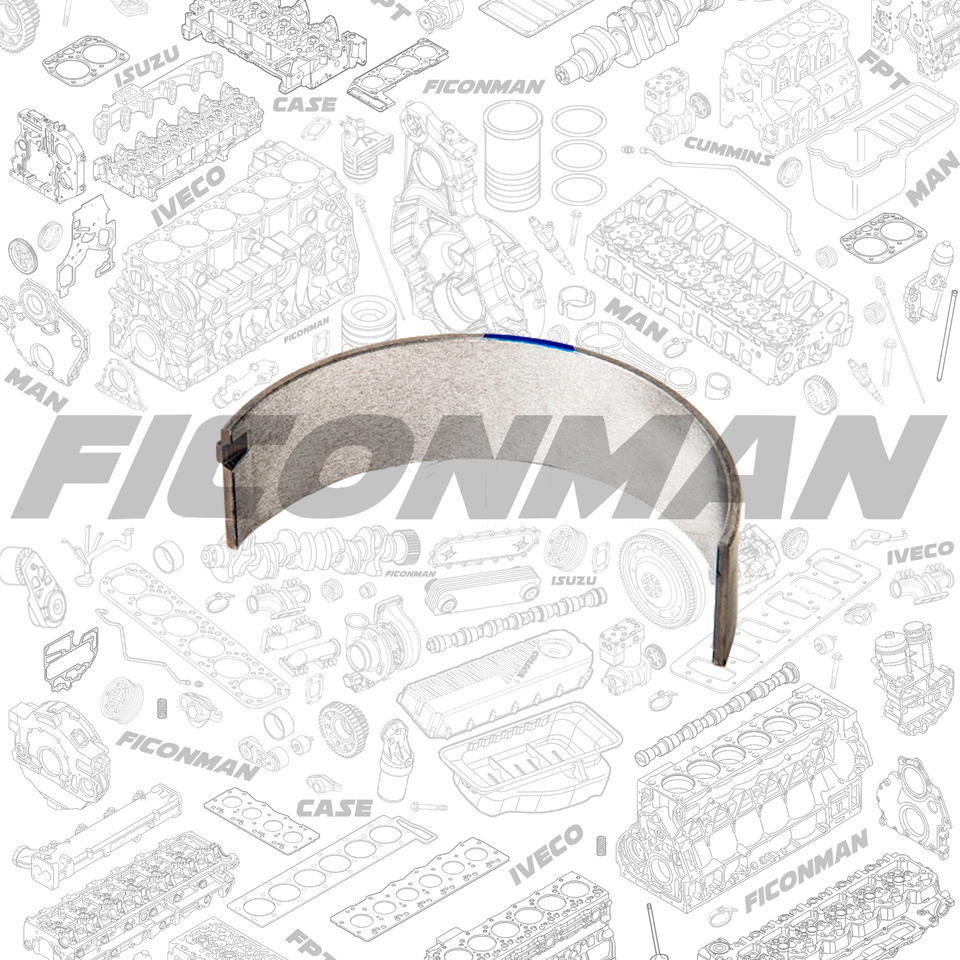 FORD Ford Trucks F-MAX ECOTORQ 9L BRG CSHAFT MN LWR BLUE T163988 6C466A338AAA - Engine bearing para Camião: foto 2 FORD Ford Trucks F-MAX ECOTORQ 9L BRG CSHAFT MN LWR BLUE T163988 6C466A338AAA - Engine bearing para Camião: foto 2