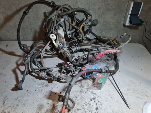 Liebherr Wire Harness - Cables/ Wire harness: foto 1 Liebherr Wire Harness - Cables/ Wire harness: foto 1