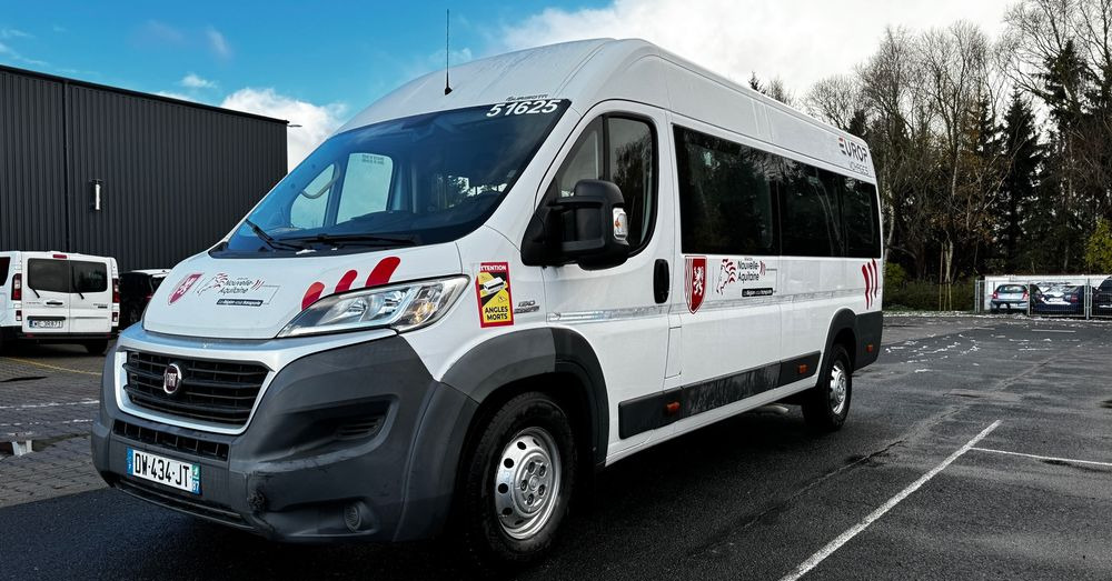 Fiat Ducato / 17 miejsc / EURO 6/ IGŁA !!!/ Cena:75000 zł netto - Minibus, Furgão de passageiros: foto 1 Fiat Ducato / 17 miejsc / EURO 6/ IGŁA !!!/ Cena:75000 zł netto - Minibus, Furgão de passageiros: foto 1