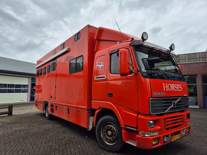 Volvo FH 12 380pk luchtgeveerd voor en achteras - Camião de transporte de cavalos: foto 4 Volvo FH 12 380pk luchtgeveerd voor en achteras - Camião de transporte de cavalos: foto 4