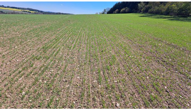 Farmet Falcon 6 PRO Fert+ - Semeadora combinada: foto 3 Farmet Falcon 6 PRO Fert+ - Semeadora combinada: foto 3