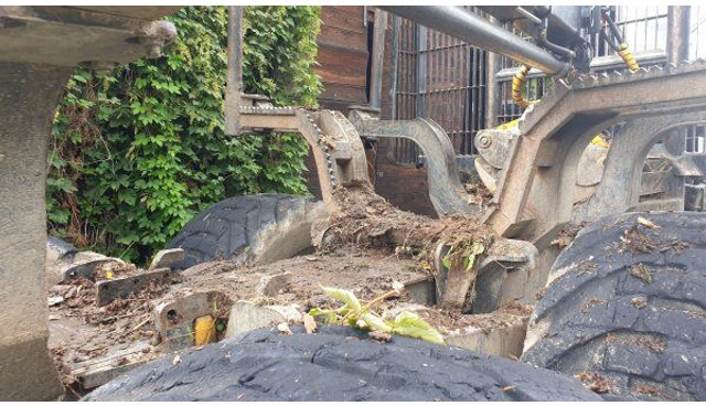 Forwarder Ponsse Elephant 8W (+ K100+): foto 17