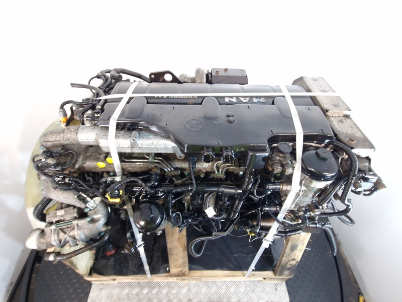 Motor para Camião MAN D0836 LFL66 Engine (Truck): foto 9 Motor para Camião MAN D0836 LFL66 Engine (Truck): foto 9