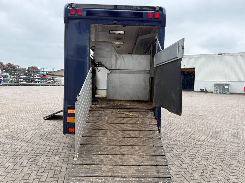 Mercedes-Benz Atego 1223 / ENGINE RUNNING / ONLY:159450 KM / HORSETRUCK / HEATED BOX / WATERTANK / LIVING ROOM / EURO-2 / MANUAL / 1998 - Camião de transporte de cavalos: foto 5 Mercedes-Benz Atego 1223 / ENGINE RUNNING / ONLY:159450 KM / HORSETRUCK / HEATED BOX / WATERTANK / LIVING ROOM / EURO-2 / MANUAL / 1998 - Camião de transporte de cavalos: foto 5