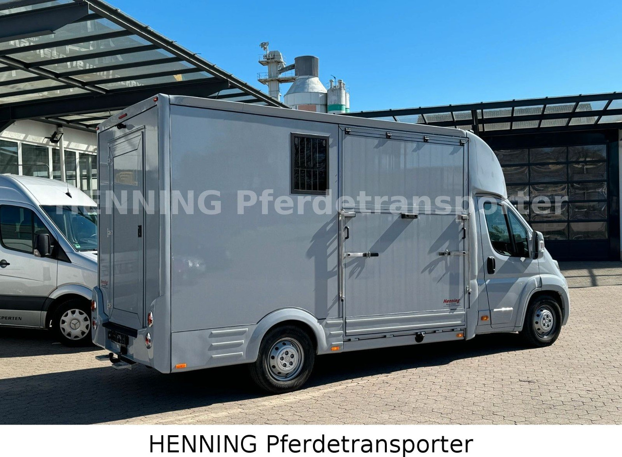 Citroën Jumper 3 - Sitzer *AUFBAU NEU* - Camião de transporte de cavalos: foto 3 Citroën Jumper 3 - Sitzer *AUFBAU NEU* - Camião de transporte de cavalos: foto 3