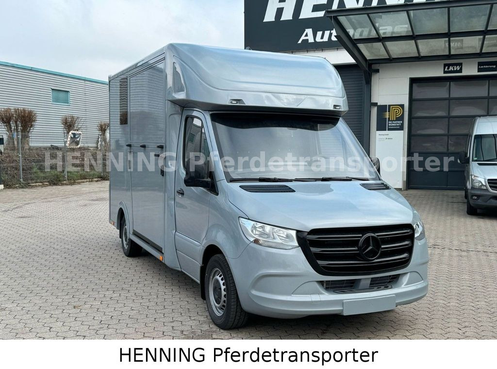 Mercedes-Benz Sprinter 3 - Sitzer *NEUFAHRZEUG* - Camião de transporte de cavalos: foto 2 Mercedes-Benz Sprinter 3 - Sitzer *NEUFAHRZEUG* - Camião de transporte de cavalos: foto 2