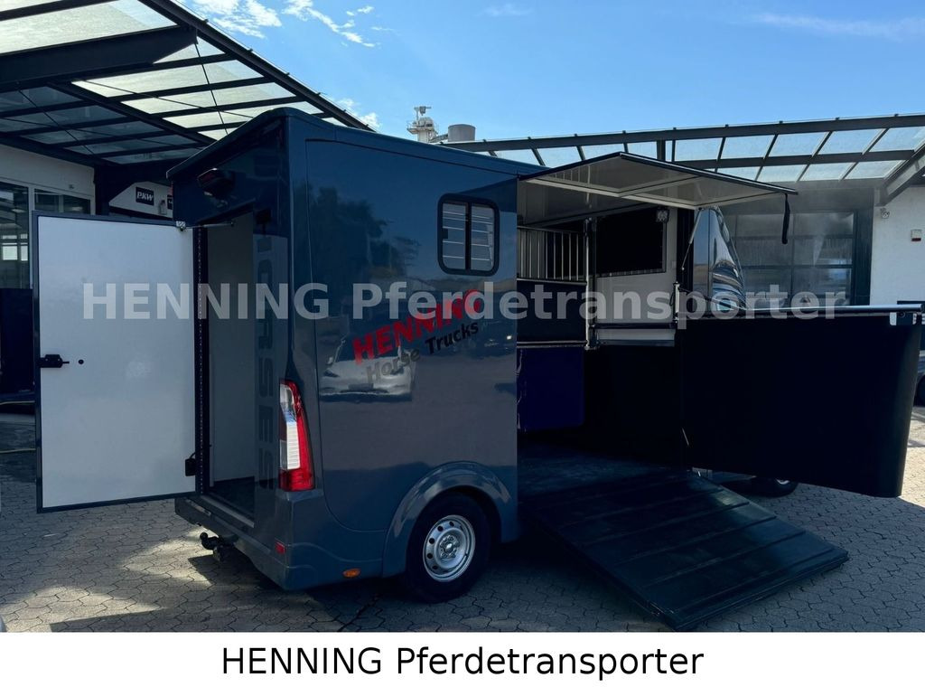 Opel Movano 3 - Sitzer *AUFBAU NEU* Opel Movano 3 - Sitzer *AUFBAU NEU* - Camião de transporte de cavalos: foto 3 Opel Movano 3 - Sitzer *AUFBAU NEU* Opel Movano 3 - Sitzer *AUFBAU NEU* - Camião de transporte de cavalos: foto 3