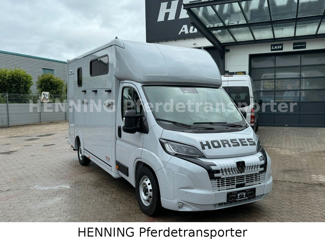 Peugeot Boxer 3 - Sitzer *GROSSE SATTELKAMMER* - Camião transporte de gado: foto 2 Peugeot Boxer 3 - Sitzer *GROSSE SATTELKAMMER* - Camião transporte de gado: foto 2