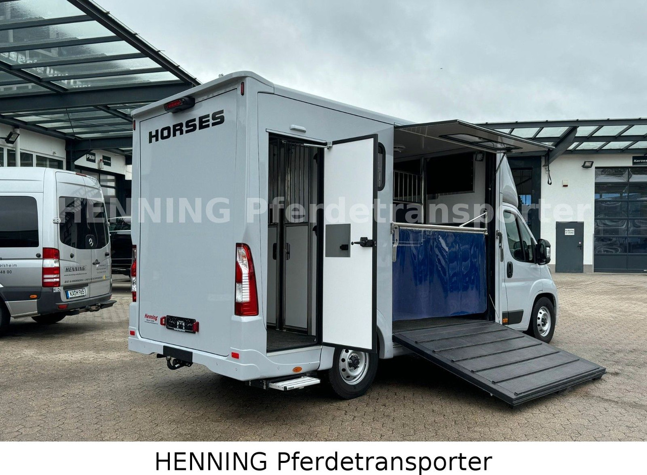 Peugeot Boxer 3 - Sitzer *GROSSE SATTELKAMMER* - Camião transporte de gado: foto 4 Peugeot Boxer 3 - Sitzer *GROSSE SATTELKAMMER* - Camião transporte de gado: foto 4