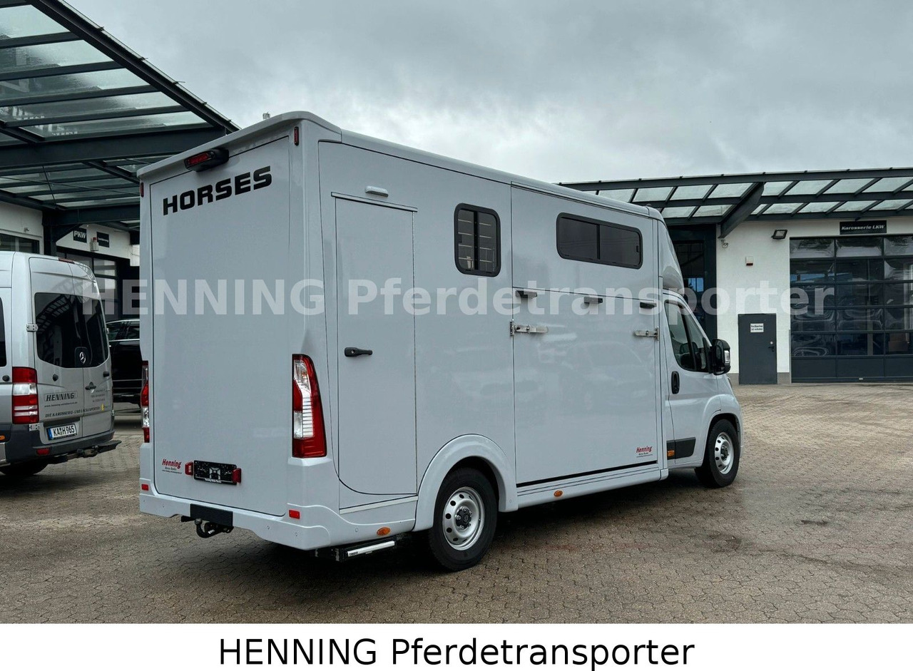 Peugeot Boxer 3 - Sitzer *GROSSE SATTELKAMMER* - Camião transporte de gado: foto 3 Peugeot Boxer 3 - Sitzer *GROSSE SATTELKAMMER* - Camião transporte de gado: foto 3