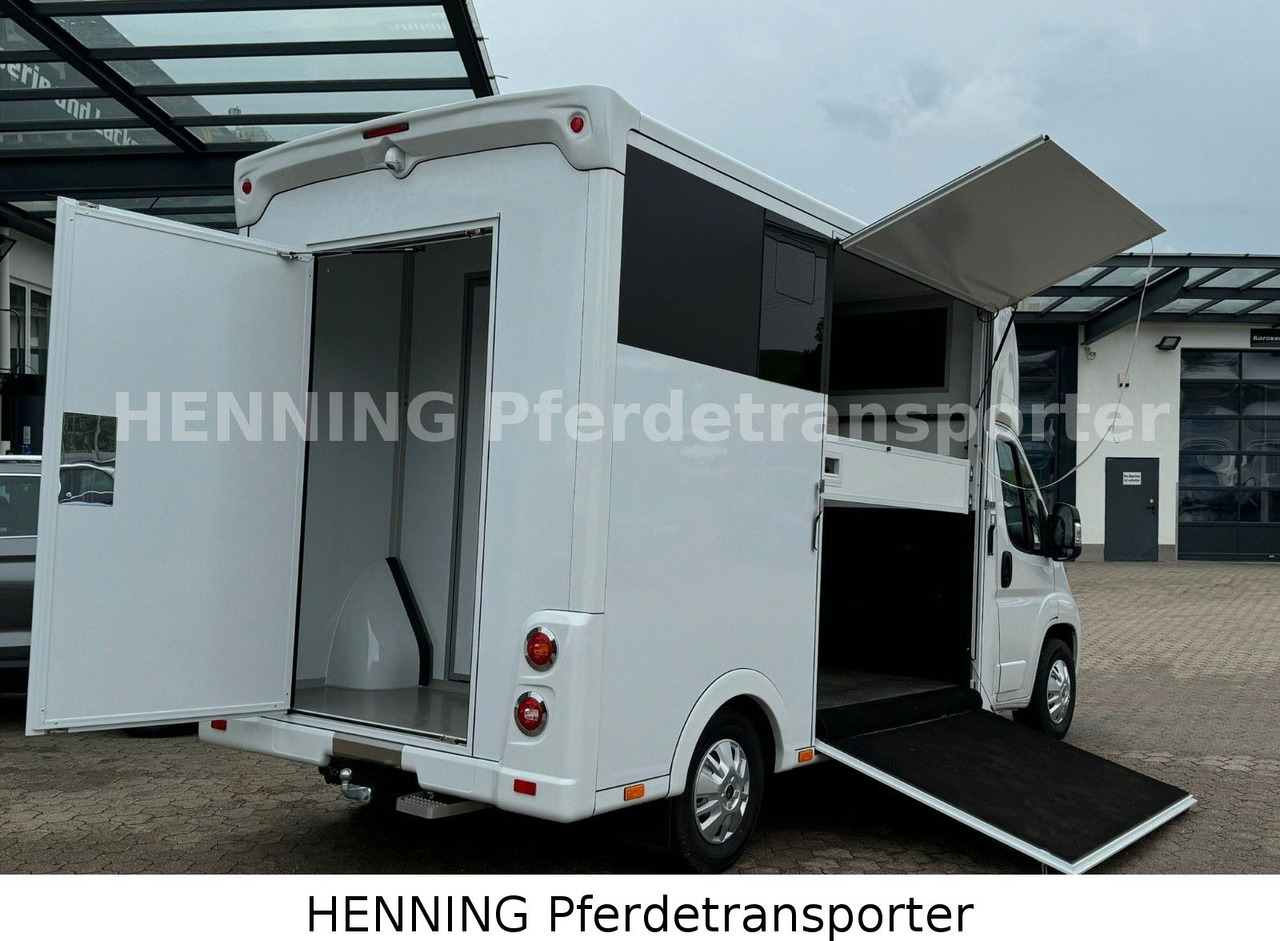 Peugeot Boxer *NEUWAGEN* ca. 1.200kg Nutzlast - Camião transporte de gado: foto 4 Peugeot Boxer *NEUWAGEN* ca. 1.200kg Nutzlast - Camião transporte de gado: foto 4