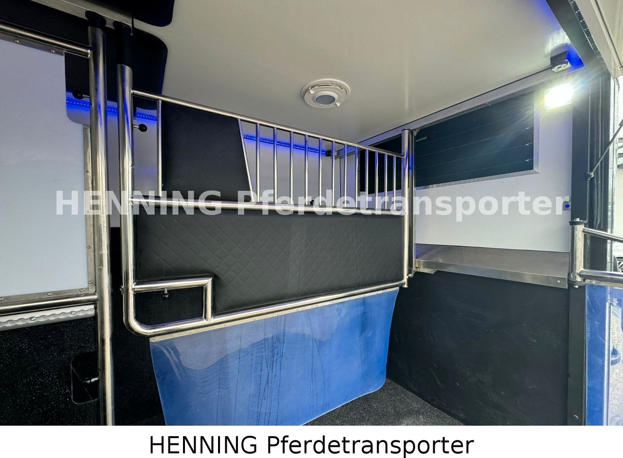 Renault Master 3 - Sitzer *NEUES MODELL* - Camião transporte de gado: foto 5 Renault Master 3 - Sitzer *NEUES MODELL* - Camião transporte de gado: foto 5