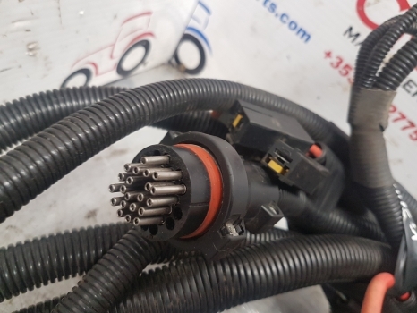 Landini Vision 95 Engine Front Wiring Loom Complete 3674688m91, 3679168m91 - Cables/ Wire harness para Trator: foto 5 Landini Vision 95 Engine Front Wiring Loom Complete 3674688m91, 3679168m91 - Cables/ Wire harness para Trator: foto 5