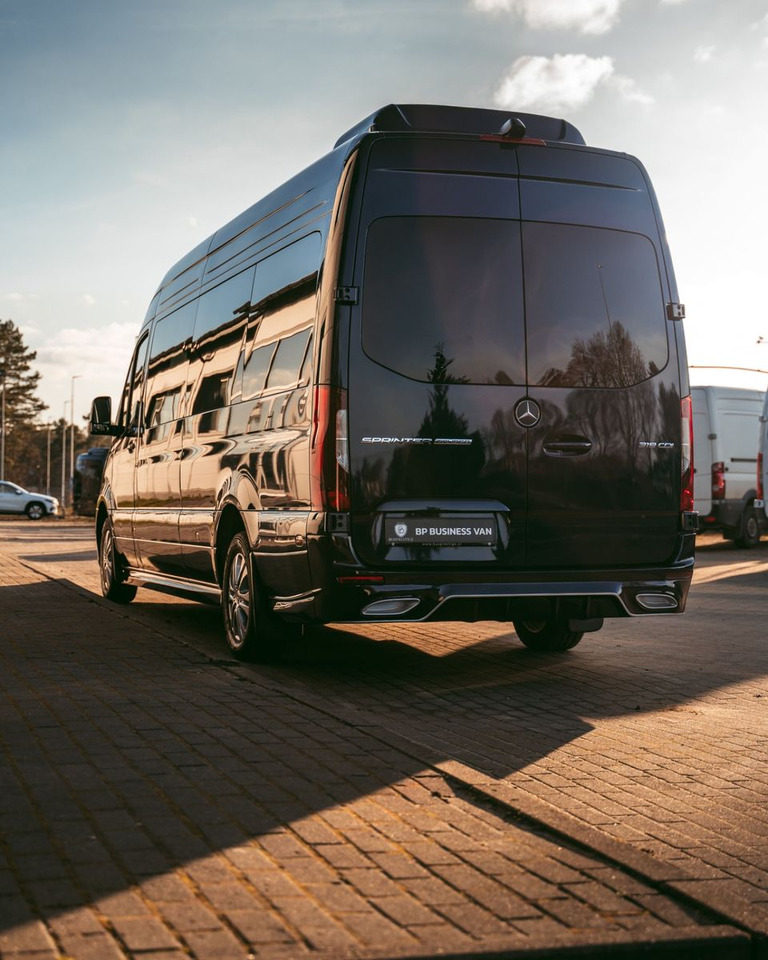 Furgão de passageiros Mercedes-Benz Sprinter 319 VIP Van/ Sleeping Area/ Ski Holders: foto 7