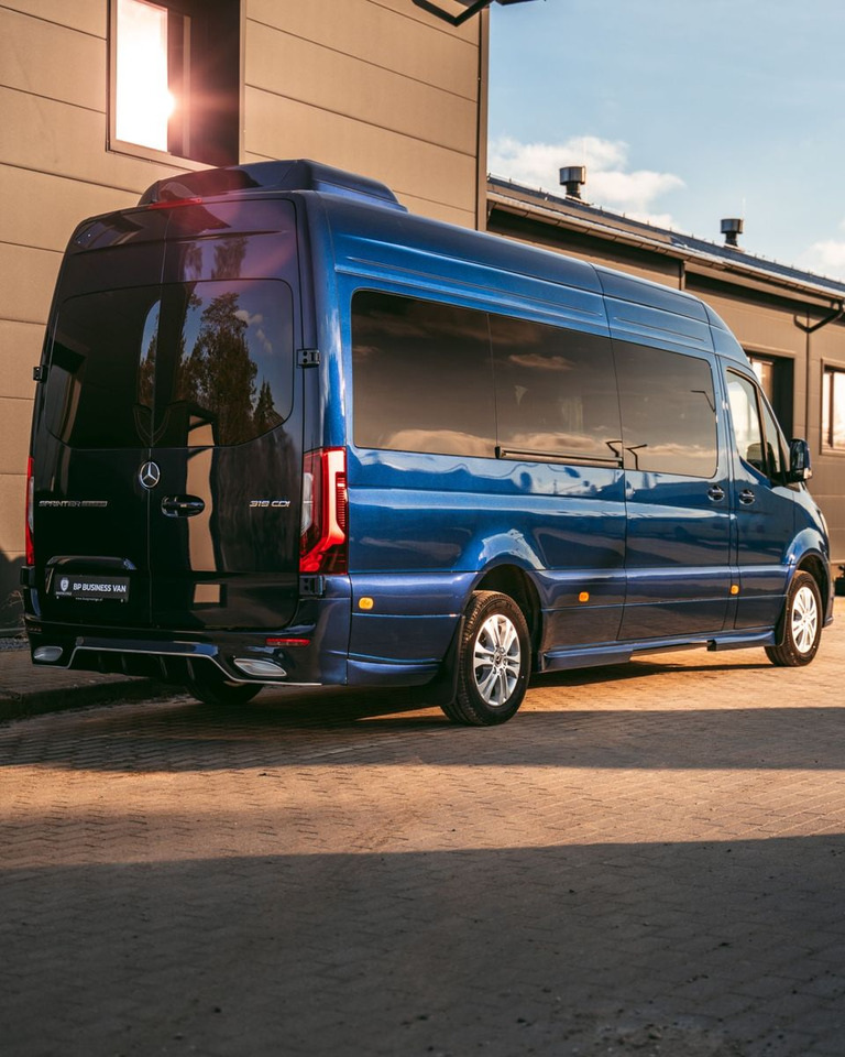 Furgão de passageiros Mercedes-Benz Sprinter 319 VIP Van/ Sleeping Area/ Ski Holders: foto 6