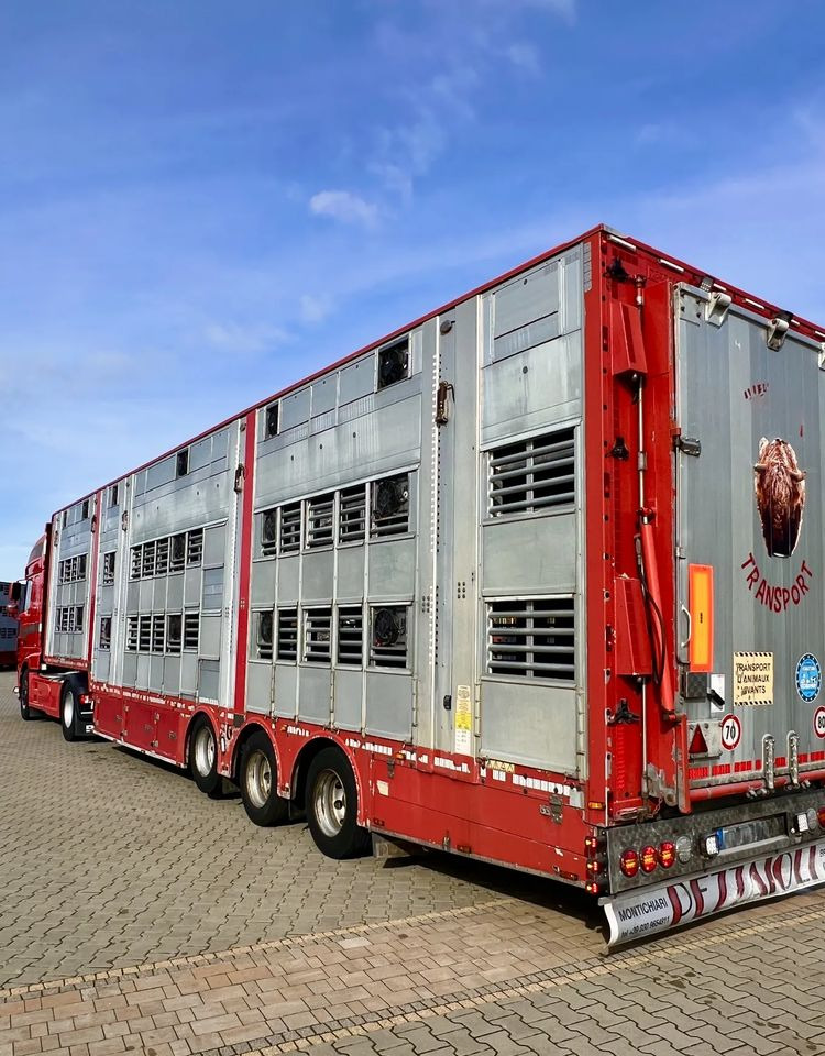 Pezzaioli NACZEPA 2017 / 3 POZIOMY / TRANSPORT ZWIERZĄT / HYDRAULIKA / STEROWANIE PILOTEM/ PODNOSZONY DACH / - Semi-reboque transporte de gado: foto 1 Pezzaioli NACZEPA 2017 / 3 POZIOMY / TRANSPORT ZWIERZĄT / HYDRAULIKA / STEROWANIE PILOTEM/ PODNOSZONY DACH / - Semi-reboque transporte de gado: foto 1