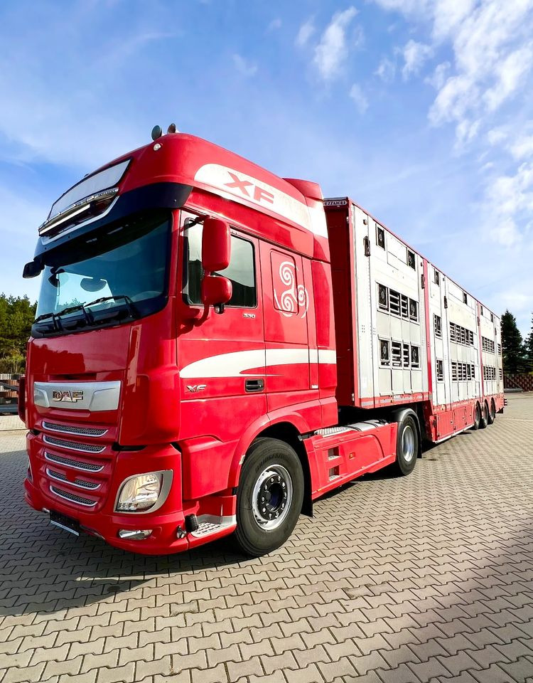 Pezzaioli NACZEPA 2017 / 3 POZIOMY / TRANSPORT ZWIERZĄT / HYDRAULIKA / STEROWANIE PILOTEM/ PODNOSZONY DACH / - Semi-reboque transporte de gado: foto 5 Pezzaioli NACZEPA 2017 / 3 POZIOMY / TRANSPORT ZWIERZĄT / HYDRAULIKA / STEROWANIE PILOTEM/ PODNOSZONY DACH / - Semi-reboque transporte de gado: foto 5
