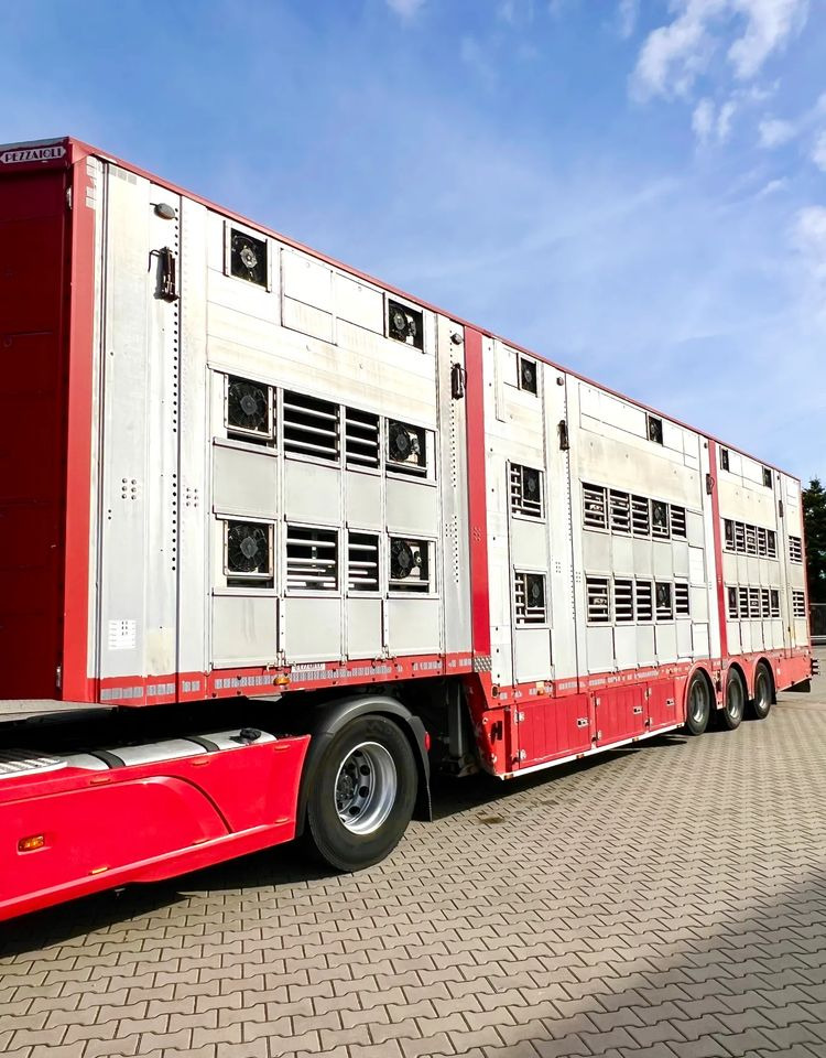 Pezzaioli NACZEPA 2017 / 3 POZIOMY / TRANSPORT ZWIERZĄT / HYDRAULIKA / STEROWANIE PILOTEM/ PODNOSZONY DACH / - Semi-reboque transporte de gado: foto 2 Pezzaioli NACZEPA 2017 / 3 POZIOMY / TRANSPORT ZWIERZĄT / HYDRAULIKA / STEROWANIE PILOTEM/ PODNOSZONY DACH / - Semi-reboque transporte de gado: foto 2