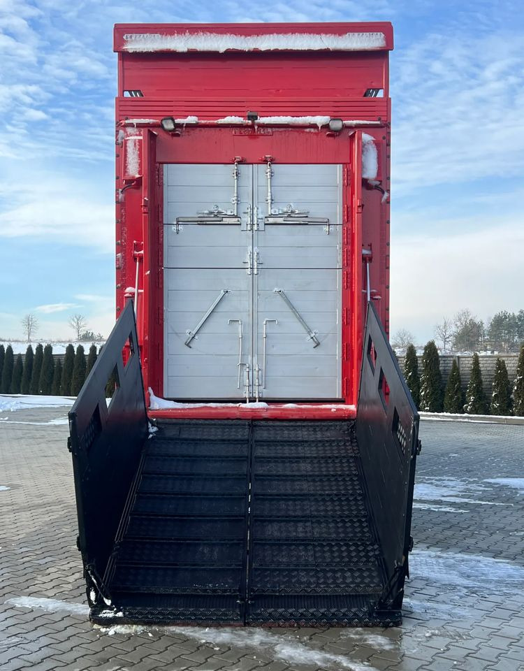 Pezzaioli Pezzaioli RBA22 Dwuosiowa Przyczepa – 2x Bydło, 3x Trzoda - Reboque transporte de gado: foto 4 Pezzaioli Pezzaioli RBA22 Dwuosiowa Przyczepa – 2x Bydło, 3x Trzoda - Reboque transporte de gado: foto 4