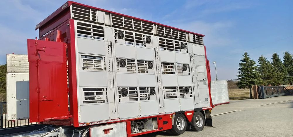 Pezzaioli RBA 32/TRZYOSIOWA PRZYCZEPA-2XBYDŁO,3X TRZODA - Reboque transporte de gado: foto 3 Pezzaioli RBA 32/TRZYOSIOWA PRZYCZEPA-2XBYDŁO,3X TRZODA - Reboque transporte de gado: foto 3