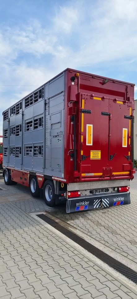 Pezzaioli RBA 32/TRZYOSIOWA PRZYCZEPA-2XBYDŁO,3X TRZODA - Reboque transporte de gado: foto 4 Pezzaioli RBA 32/TRZYOSIOWA PRZYCZEPA-2XBYDŁO,3X TRZODA - Reboque transporte de gado: foto 4