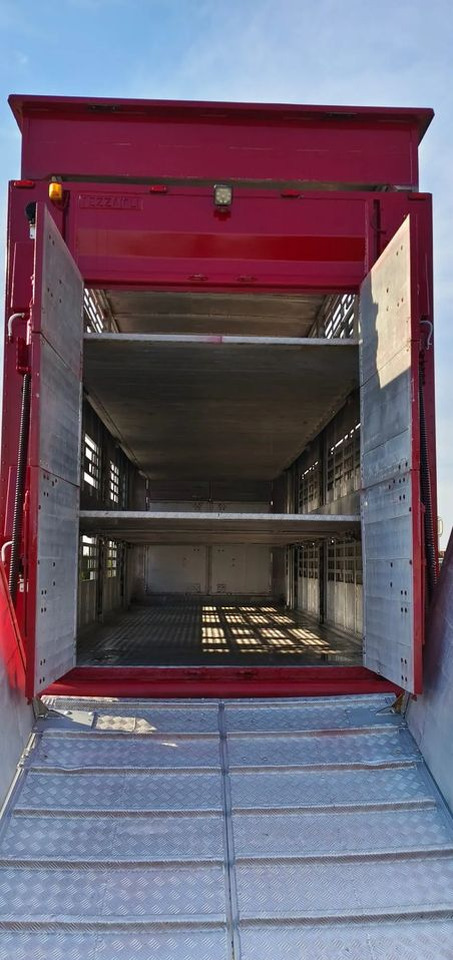 Pezzaioli RBA 32/TRZYOSIOWA PRZYCZEPA-2XBYDŁO,3X TRZODA - Reboque transporte de gado: foto 5 Pezzaioli RBA 32/TRZYOSIOWA PRZYCZEPA-2XBYDŁO,3X TRZODA - Reboque transporte de gado: foto 5