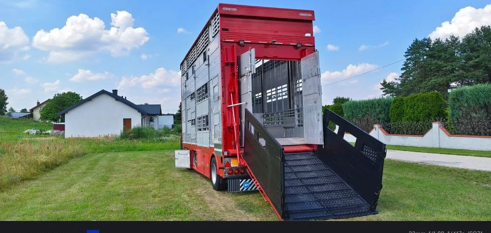 Pezzaioli RBA22 Dwuosiowa Przyczepa – 2x Bydło, 3x Trzoda – 2017r – Bezwypadkowa! - Reboque transporte de gado: foto 1 Pezzaioli RBA22 Dwuosiowa Przyczepa – 2x Bydło, 3x Trzoda – 2017r – Bezwypadkowa! - Reboque transporte de gado: foto 1