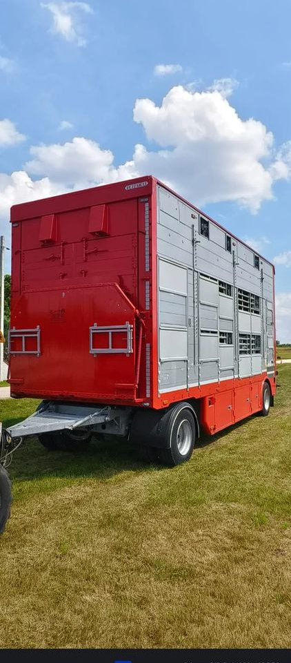 Pezzaioli RBA22 Dwuosiowa Przyczepa – 2x Bydło, 3x Trzoda – 2017r – Bezwypadkowa! - Reboque transporte de gado: foto 4 Pezzaioli RBA22 Dwuosiowa Przyczepa – 2x Bydło, 3x Trzoda – 2017r – Bezwypadkowa! - Reboque transporte de gado: foto 4