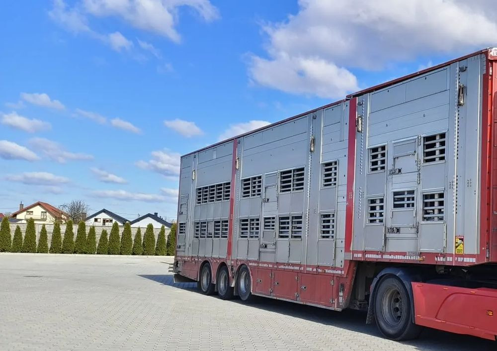 Pezzaioli SBA32/hydrauliczny dach/hydrauliczna rampa/ 3 poziomy/ 2xbydło -3xtrzoda/wentylatory/poidła/sterowanie pilotem - Semi-reboque transporte de gado: foto 2 Pezzaioli SBA32/hydrauliczny dach/hydrauliczna rampa/ 3 poziomy/ 2xbydło -3xtrzoda/wentylatory/poidła/sterowanie pilotem - Semi-reboque transporte de gado: foto 2