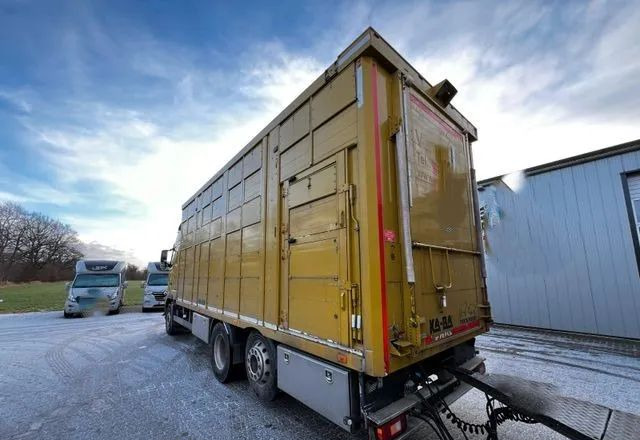 Volvo FH 420 • KABA • Transport Zwierząt 3xŚwinie/ 2xBydło 3-piętrowy • Euro 5 • Retarder • Oś podnoszona i skrętna - Camião transporte de gado: foto 4 Volvo FH 420 • KABA • Transport Zwierząt 3xŚwinie/ 2xBydło 3-piętrowy • Euro 5 • Retarder • Oś podnoszona i skrętna - Camião transporte de gado: foto 4