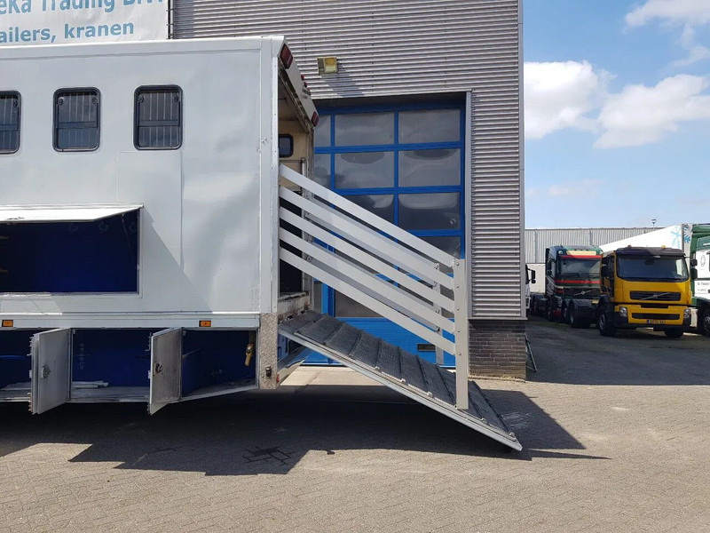 DAF 95.350 Paardenwagen met zitverblijf 7 paarden 7 horses - Camião de transporte de cavalos: foto 5 DAF 95.350 Paardenwagen met zitverblijf 7 paarden 7 horses - Camião de transporte de cavalos: foto 5