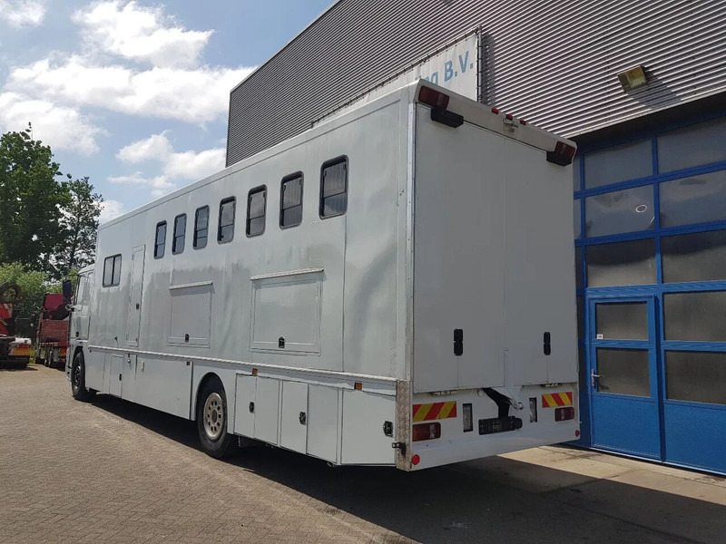DAF 95.350 Paardenwagen met zitverblijf 7 paarden 7 horses - Camião de transporte de cavalos: foto 4 DAF 95.350 Paardenwagen met zitverblijf 7 paarden 7 horses - Camião de transporte de cavalos: foto 4
