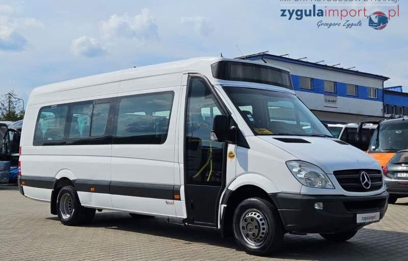 Minibus, Furgão de passageiros Mercedes-Benz SPRINTER 513: foto 1