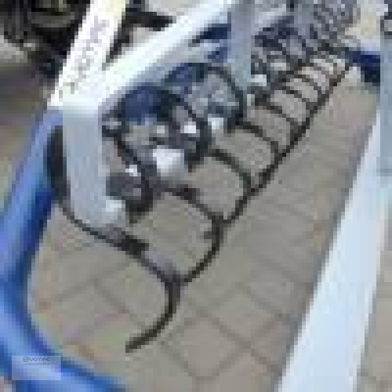 Maquina para lavrar a terra novo Vemac Bahnplaner Reitbahnplaner Reitplatzplaner Planer NEU 240cm: foto 11