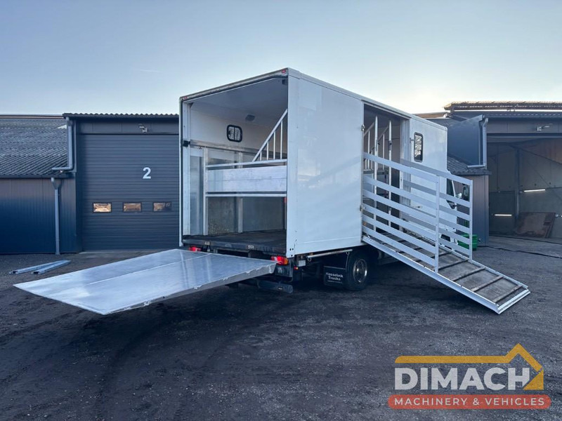 DAF FA LF45.150 4 paards, laadlift. Horsetruck NL truck - Camião de transporte de cavalos: foto 2 DAF FA LF45.150 4 paards, laadlift. Horsetruck NL truck - Camião de transporte de cavalos: foto 2