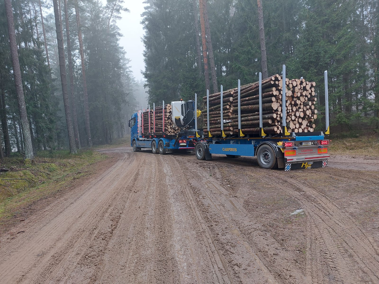 Hydrofast Przyczepa 2 osiowa do drewna stosowego HFP2/2-axle timber trailer HFP2 - Reboque transporte de madeira: foto 3 Hydrofast Przyczepa 2 osiowa do drewna stosowego HFP2/2-axle timber trailer HFP2 - Reboque transporte de madeira: foto 3