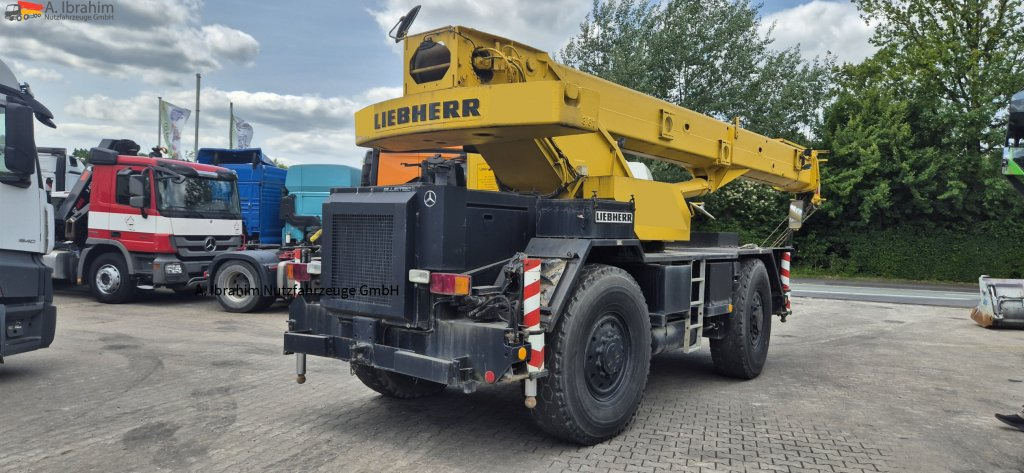 Grua de estaleiro Liebherr LTL1025: foto 12