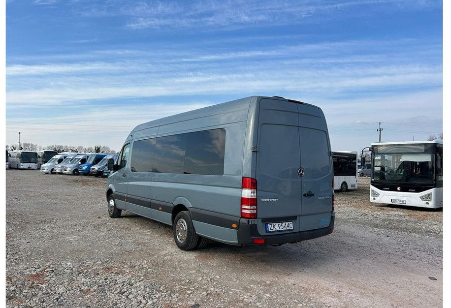 Minibus, Furgão de passageiros Mercedes-Benz Sprinter 516: foto 8