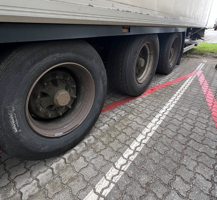 Semi-reboque frigorífico KRONE SD: foto 16