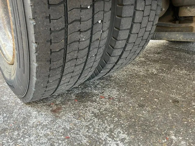 Camião de lona MAN LE 12 - 220C: foto 18