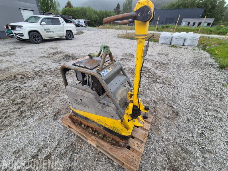 2012 Wacker Neuson DPU6555 / Hoppetusse / Vibroplate / Komprimator - Rolo: foto 1 2012 Wacker Neuson DPU6555 / Hoppetusse / Vibroplate / Komprimator - Rolo: foto 1