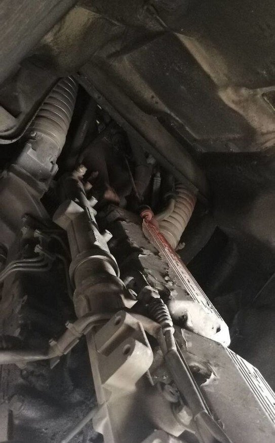 DAF XE 315 C1 DAF XF - Motor para Camião: foto 1 DAF XE 315 C1 DAF XF - Motor para Camião: foto 1