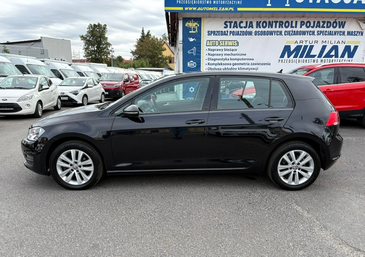 Volkswagen Golf VII VII 1,6 TDI 110KM 153TKM Klimatronik Navi Alu PDC 2015 Bez wkładu fi - Hatchback: foto 3 Volkswagen Golf VII VII 1,6 TDI 110KM 153TKM Klimatronik Navi Alu PDC 2015 Bez wkładu fi - Hatchback: foto 3
