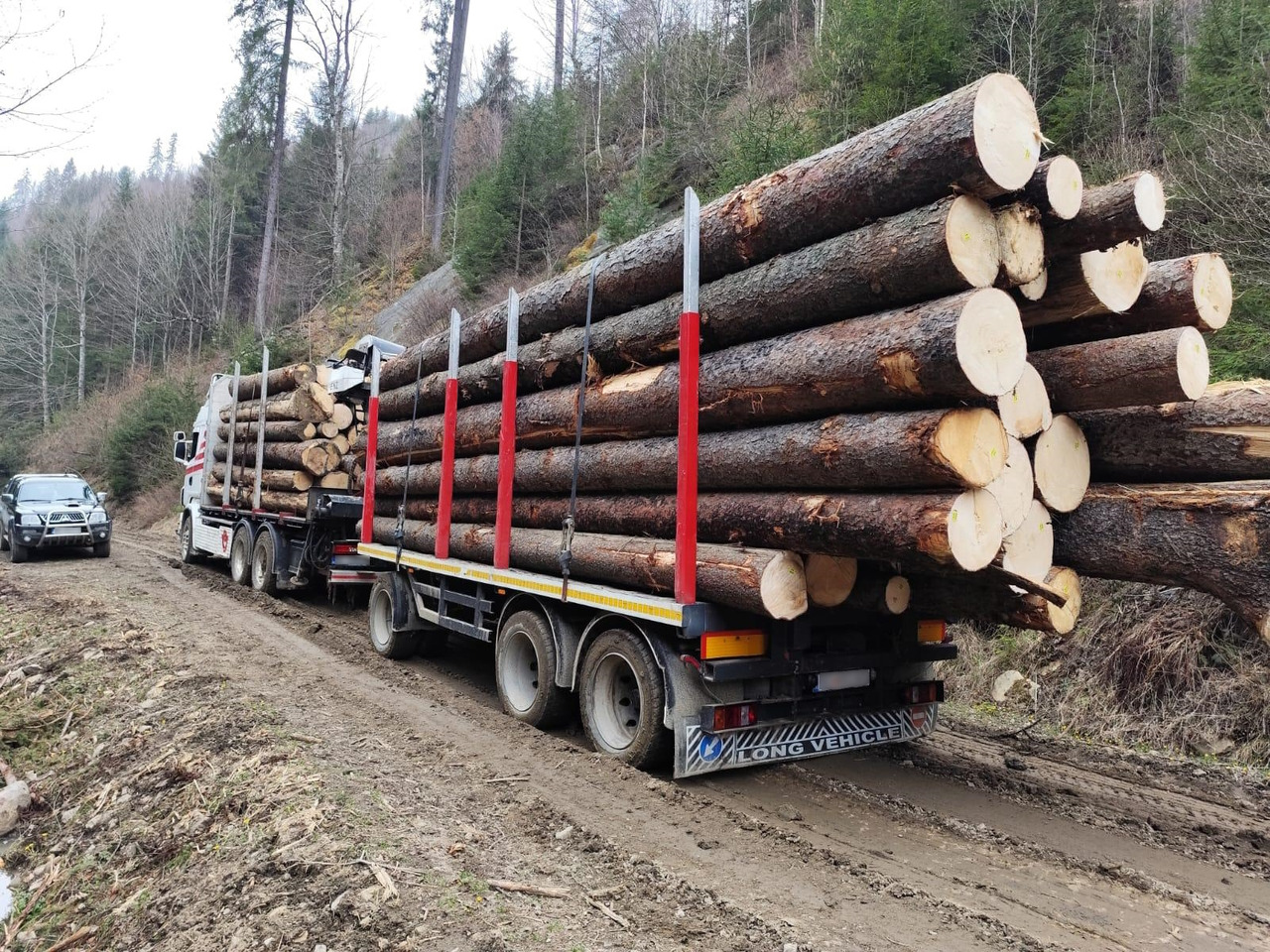 SCANIA R560 V8 - Camião de transporte de madeira, Camião grua: foto 5 SCANIA R560 V8 - Camião de transporte de madeira, Camião grua: foto 5