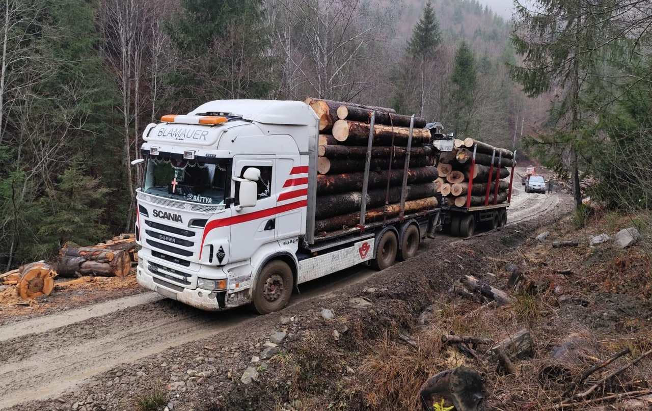SCANIA R560 V8 - Camião de transporte de madeira, Camião grua: foto 2 SCANIA R560 V8 - Camião de transporte de madeira, Camião grua: foto 2