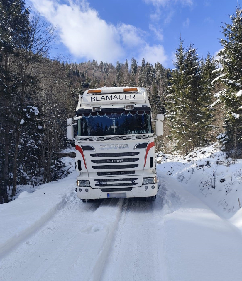 SCANIA R560 V8 - Camião de transporte de madeira, Camião grua: foto 4 SCANIA R560 V8 - Camião de transporte de madeira, Camião grua: foto 4