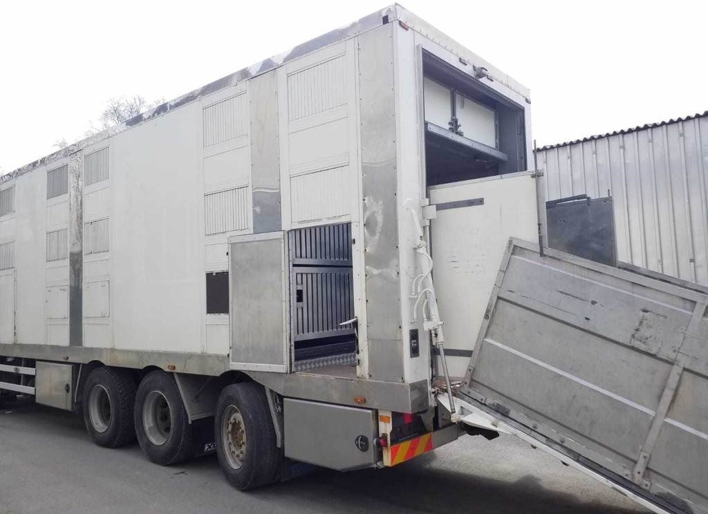 MAN TGX 35.540 8X4 TRIDEM ANIMAL - Camião transporte de gado: foto 5 MAN TGX 35.540 8X4 TRIDEM ANIMAL - Camião transporte de gado: foto 5
