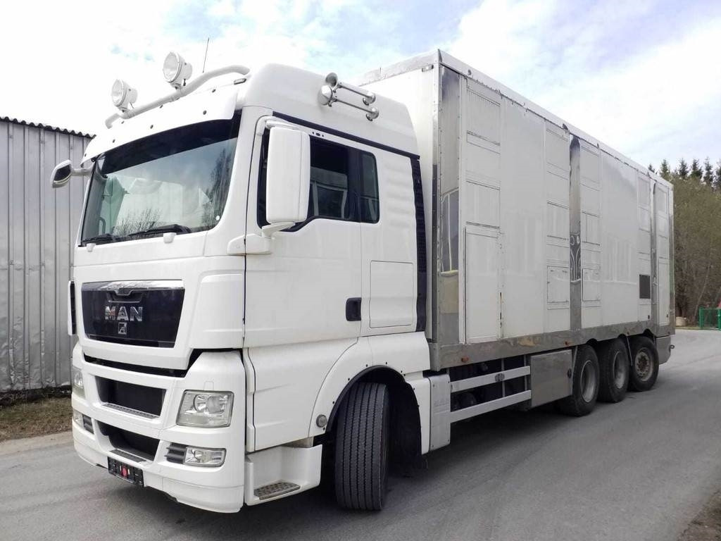 MAN TGX 35.540 8X4 TRIDEM ANIMAL - Camião transporte de gado: foto 1 MAN TGX 35.540 8X4 TRIDEM ANIMAL - Camião transporte de gado: foto 1