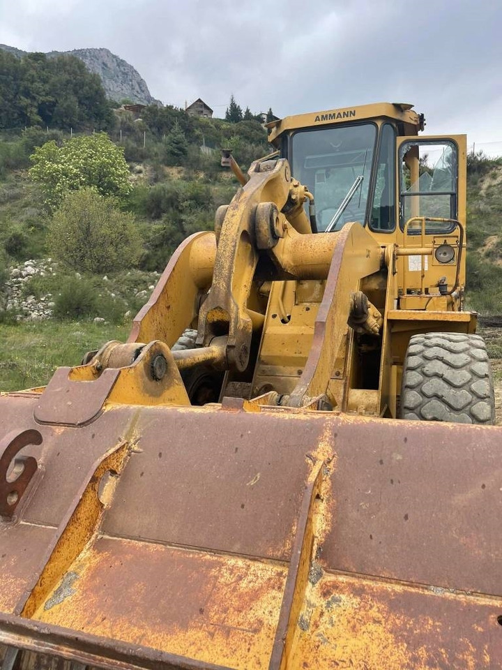 Locação financeira de CAT 950B  CAT 950B: foto 8